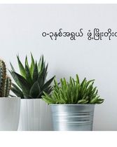 ကလေးဖွံ့ဖြိုးတိုးတက်မှုမှတ်တိုင်များ (၀-၃)နှစ်အရွယ်